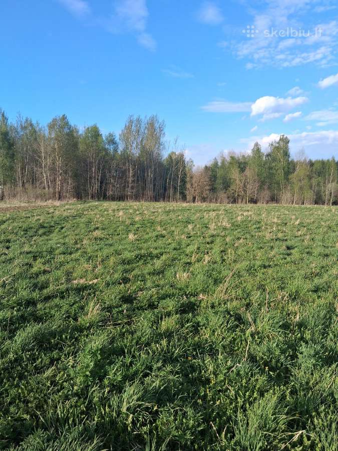 Žemės sklypas