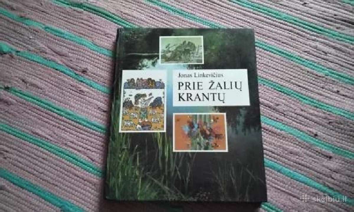 Prie žalių krantų Jonas Linkevičius