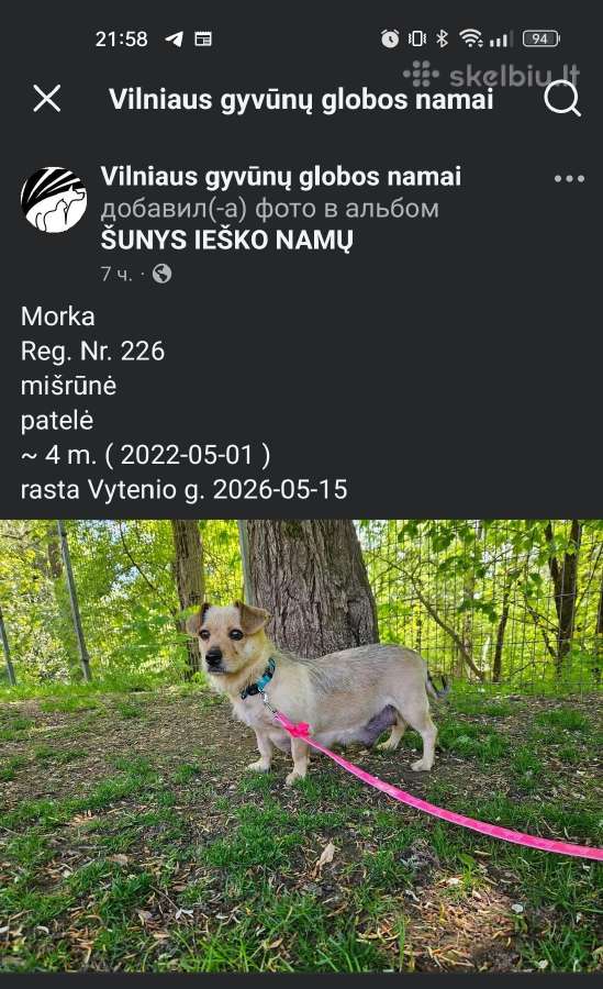 Ieško namų