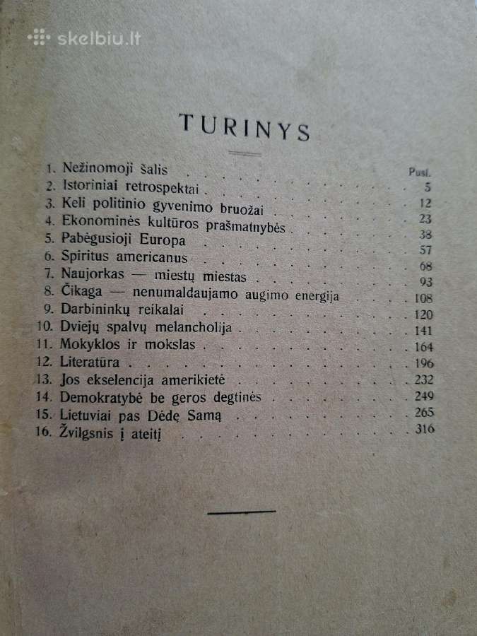 K. Gineitis. Amerika ir Amerikos lietuviai. 1925 - nuotraukos Nr. 3