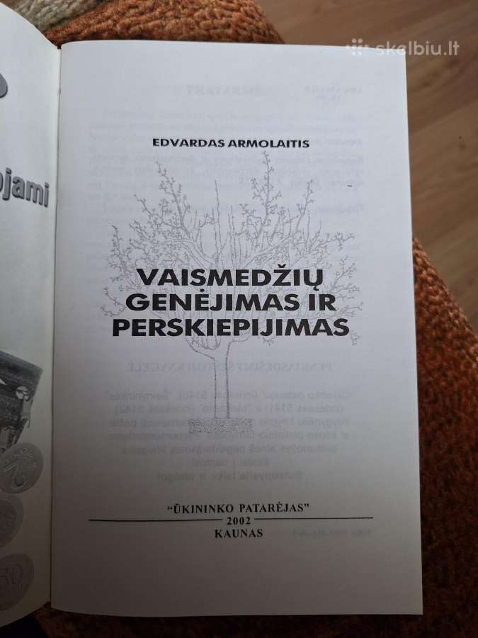 Vaismedžių genėjimas ir perskiepijimas - nuotraukos Nr. 2