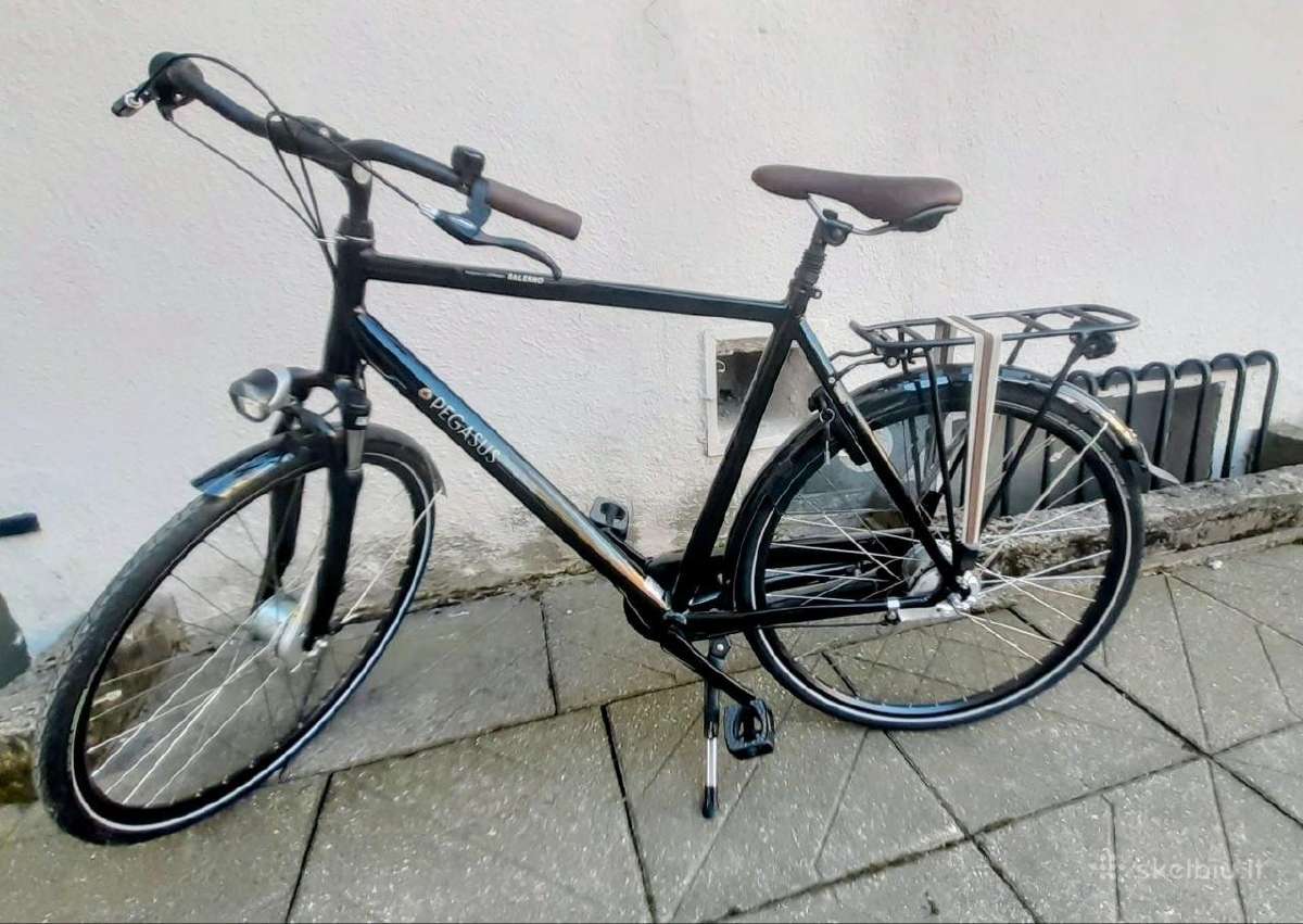 Pegasus Salerno