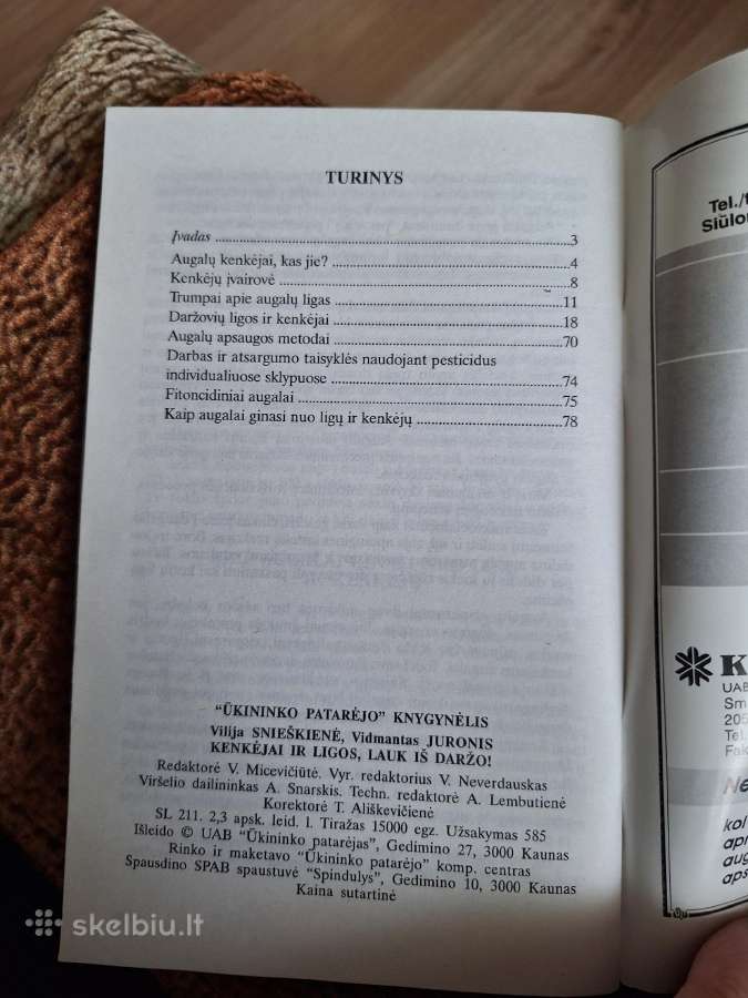 Kenkėjai ir ligos, lauk iš daržo - nuotraukos Nr. 2