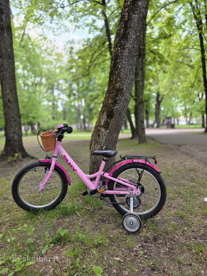 Vaikiškas dviratukas Puky