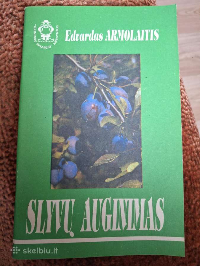Slyvų auginimas