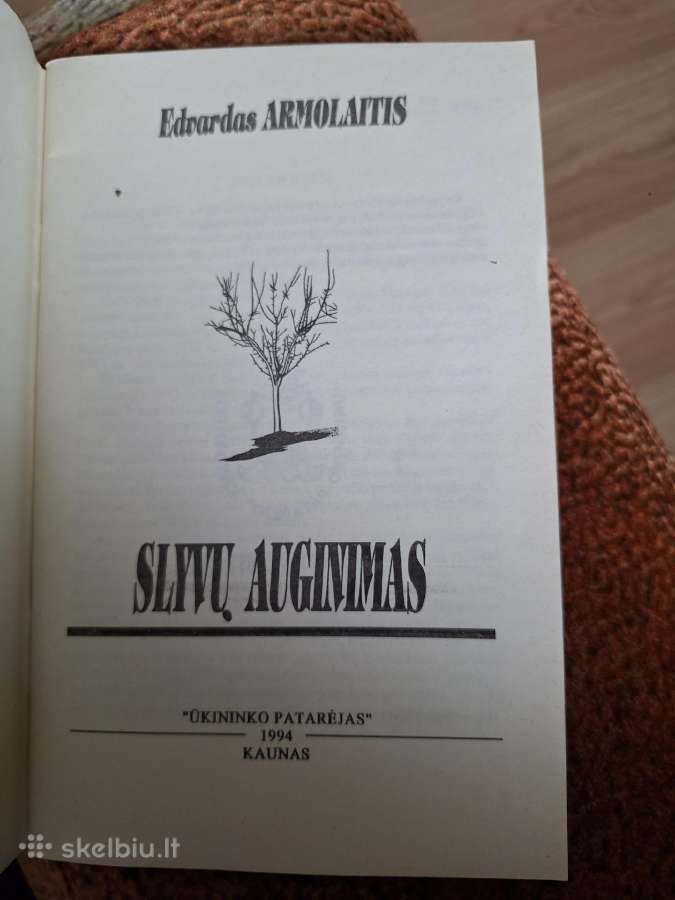Slyvų auginimas - nuotraukos Nr. 2