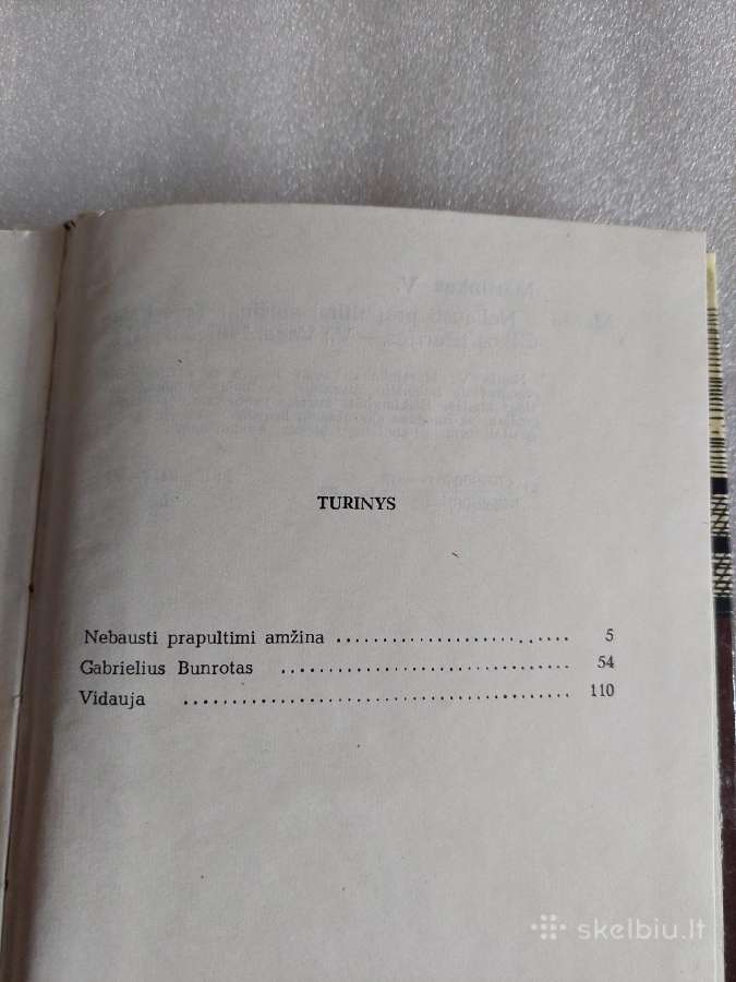 Nebausti prapultimi amžina - nuotraukos Nr. 3