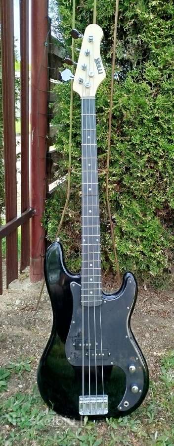 Bosine gitara