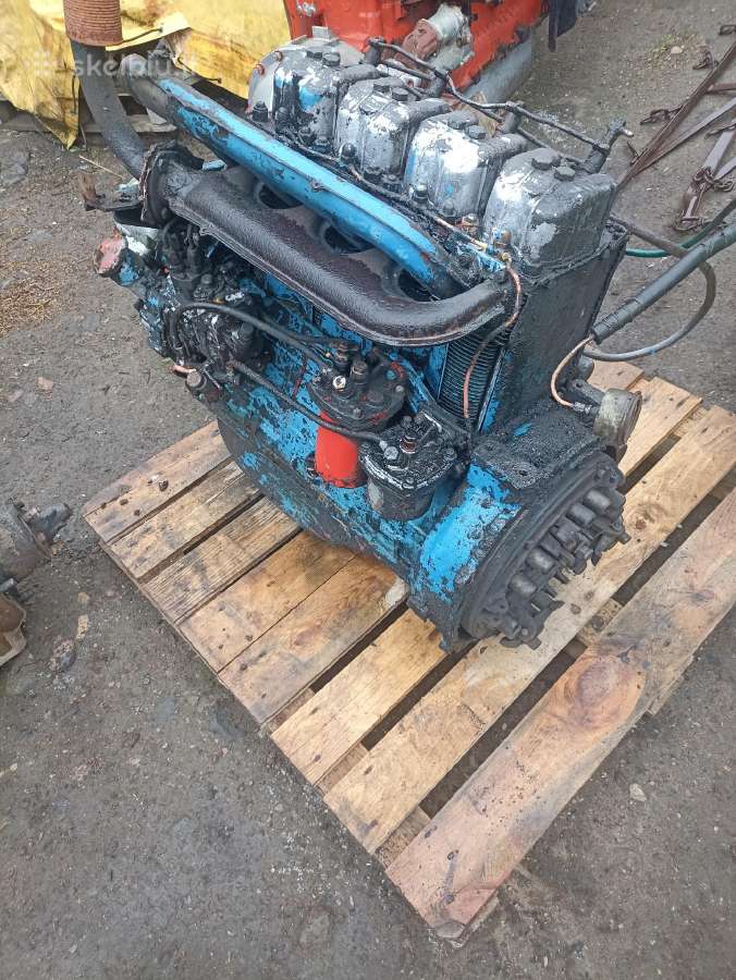 T40 dalimis