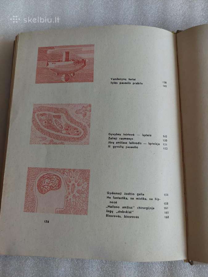 Žemė ir kosmosas - nuotraukos Nr. 7