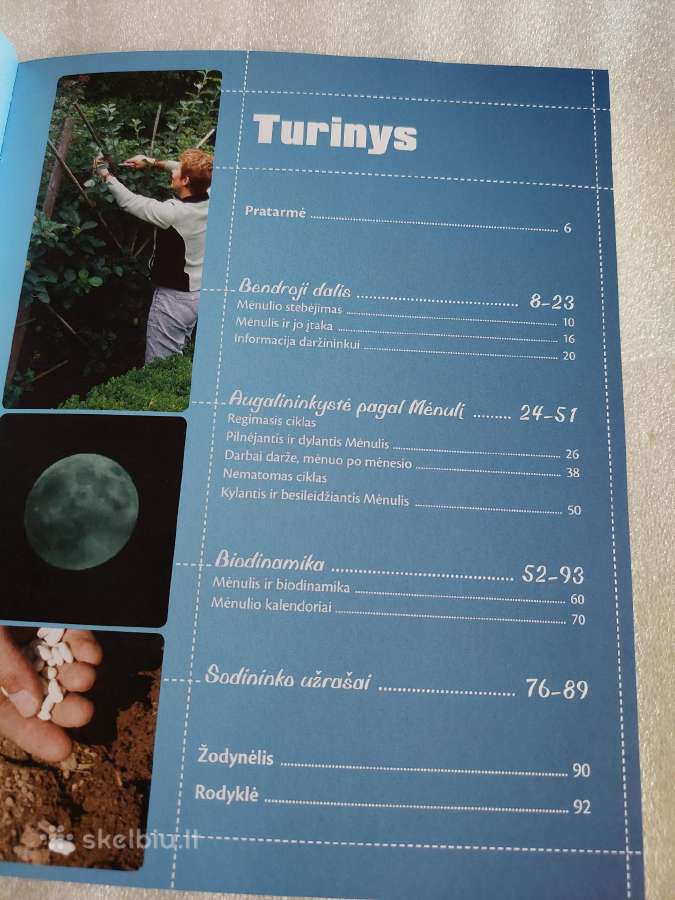 Sodas ir daržas pagal Mėnulio kalendorių - nuotraukos Nr. 3
