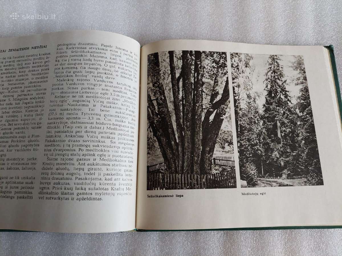 Lietuvos Tsr gamtos paminklai - nuotraukos Nr. 6