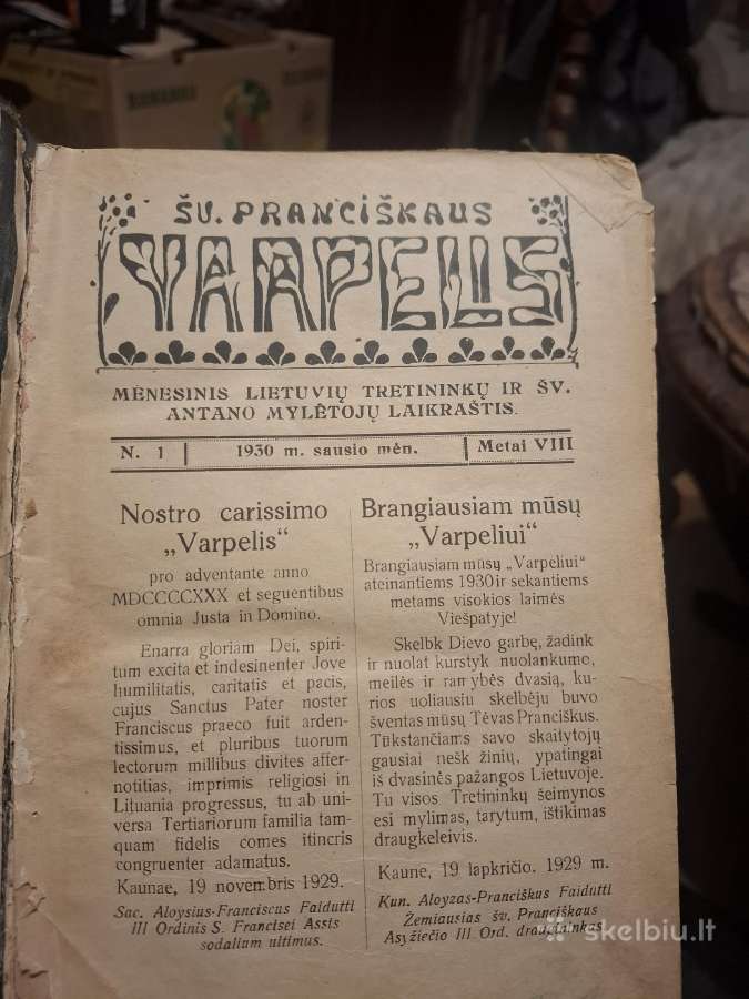 Šv.pranciškaus varpelis - nuotraukos Nr. 3