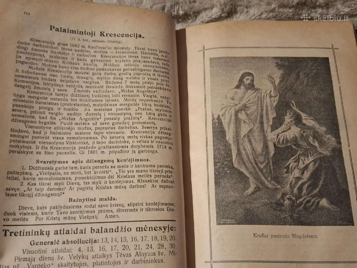 Šv.pranciškaus varpelis - nuotraukos Nr. 8