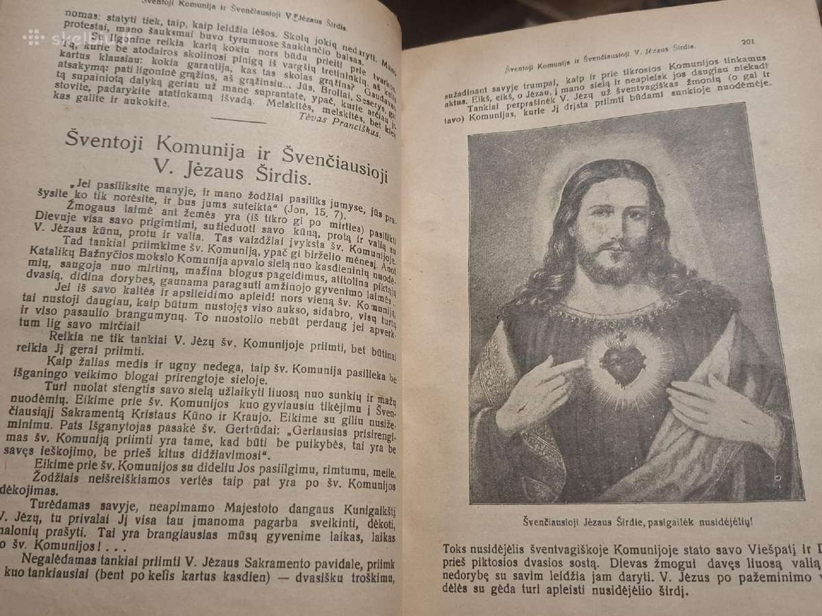 Šv.pranciškaus varpelis - nuotraukos Nr. 12