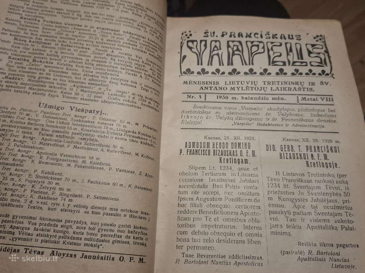 Šv.pranciškaus varpelis - nuotraukos Nr. 14