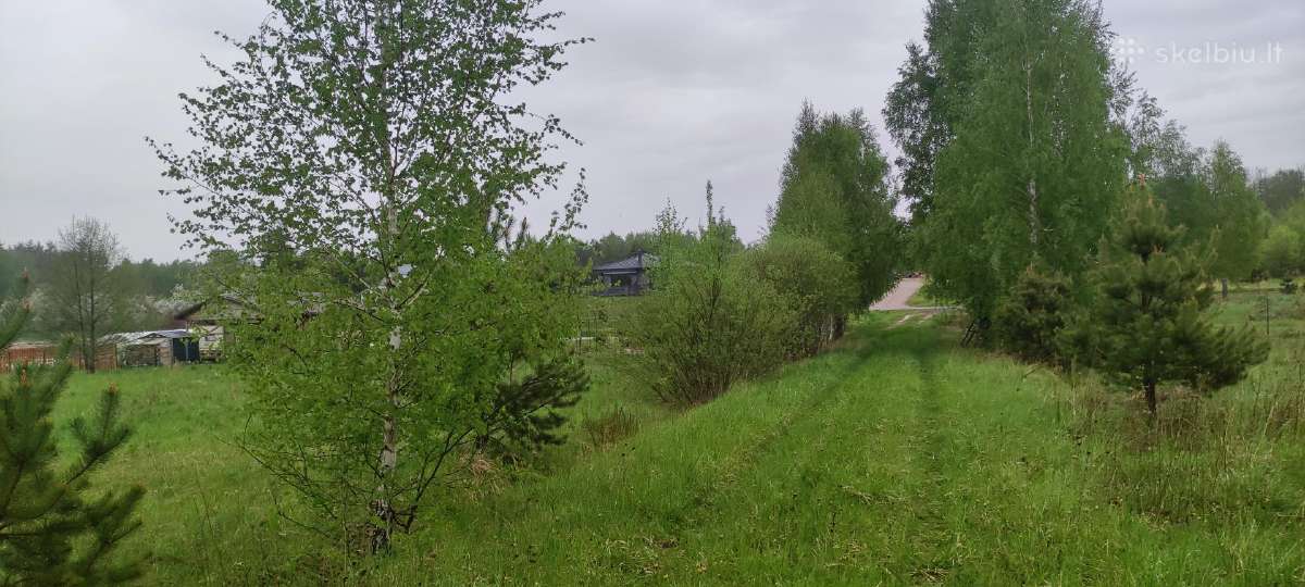 Sklypas su namo projektu ir statybos leidimu - nuotraukos Nr. 2