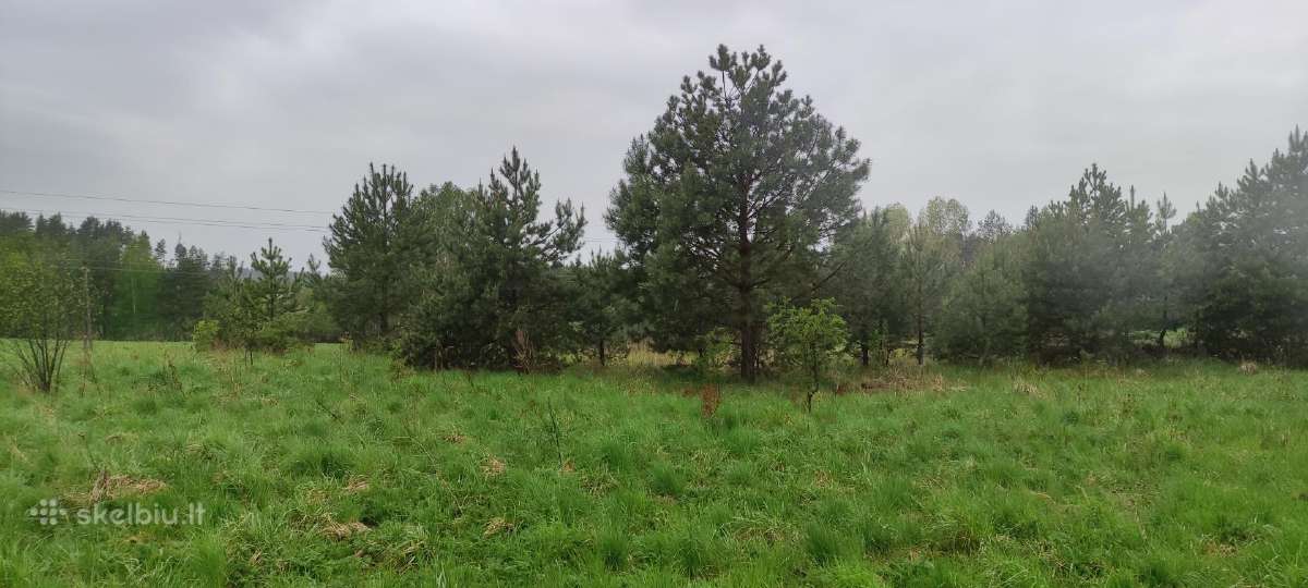 Sklypas su namo projektu ir statybos leidimu - nuotraukos Nr. 9