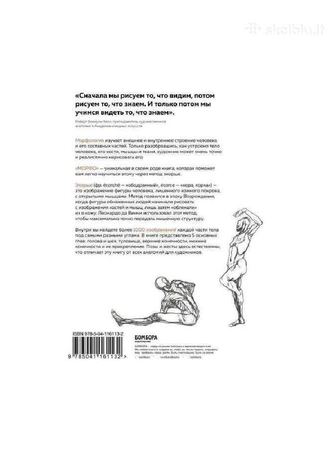 Morfo. Anatomija dlja xudozhnikov - nuotraukos Nr. 5