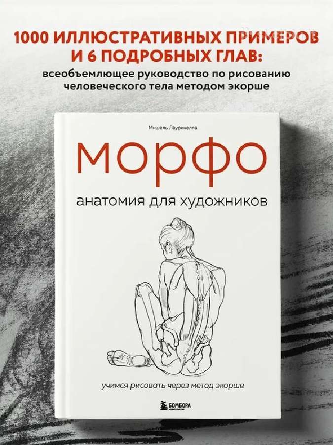 Morfo. Anatomija dlja xudozhnikov