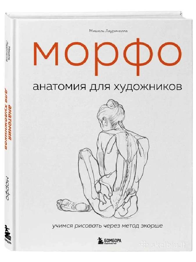 Morfo. Anatomija dlja xudozhnikov - nuotraukos Nr. 3