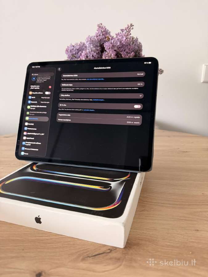 iPad pro 13 m5 256gb + cellular