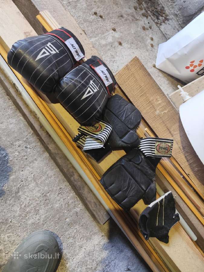 Boksioro megejo svajone
