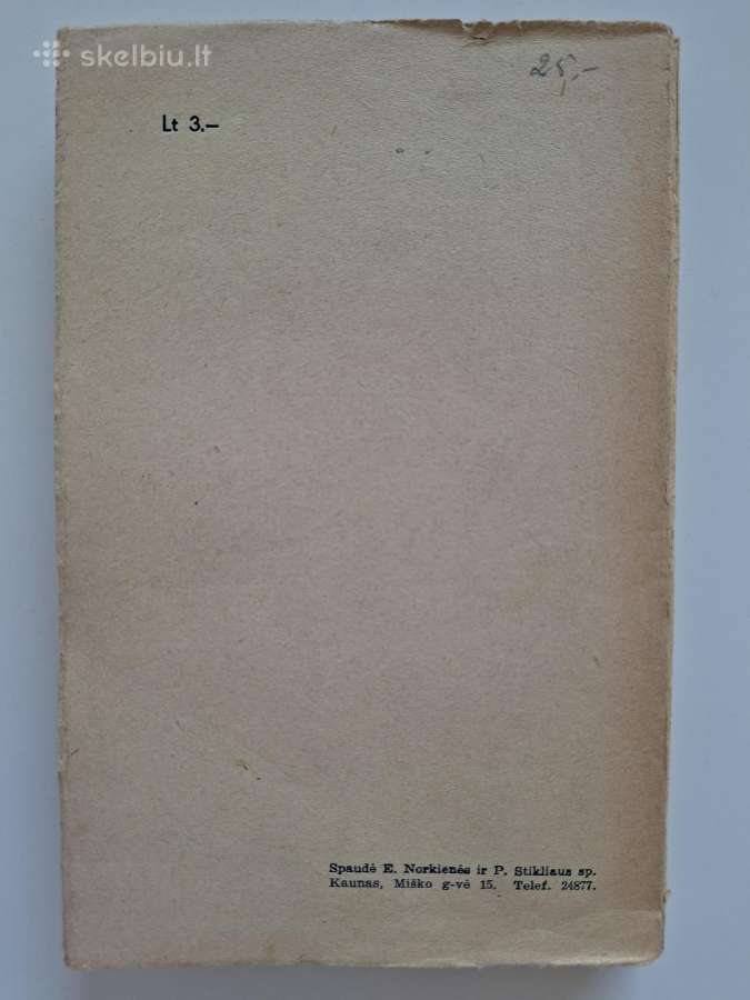 Lenkų apaštalai Lietuvoje. 1938 m. - nuotraukos Nr. 5