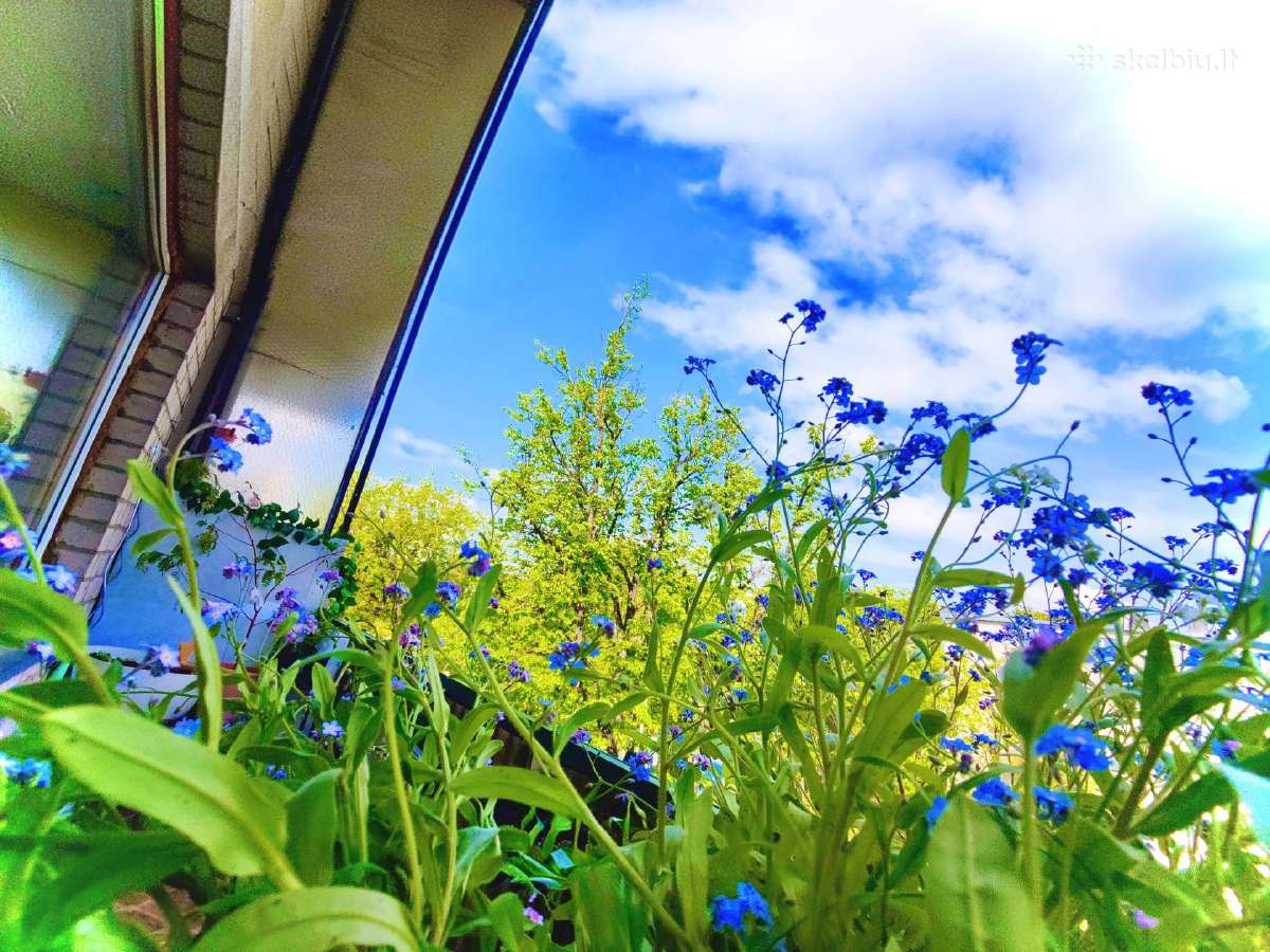 Keičia 2k butą Antakalny(balkon+sandėlis,šviesus) - nuotraukos Nr. 36