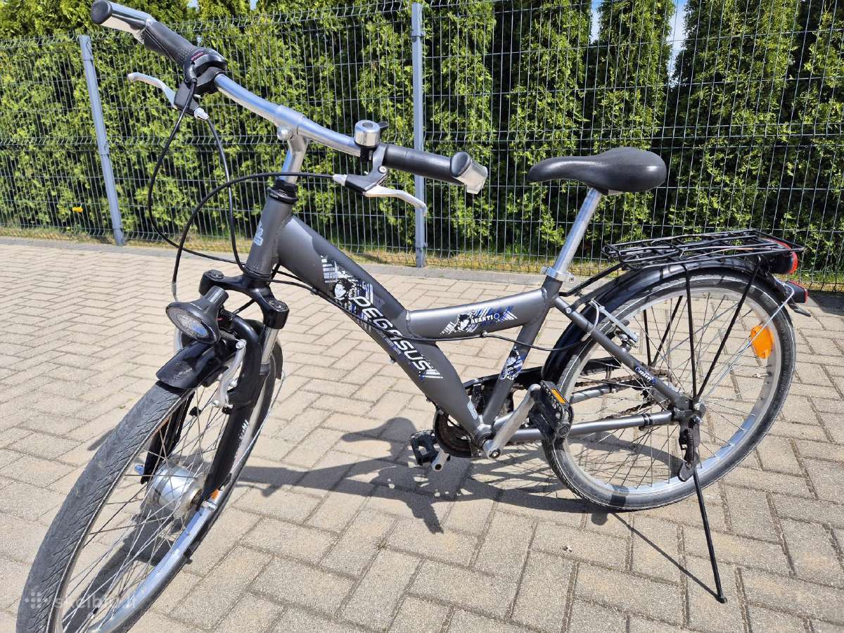 Pegasus Avanti berniukui kokybiškas aliuminis