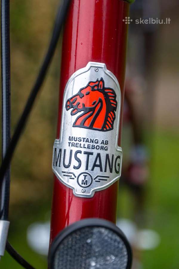 Retro stiliaus Mustang miesto dviratis - nuotraukos Nr. 2