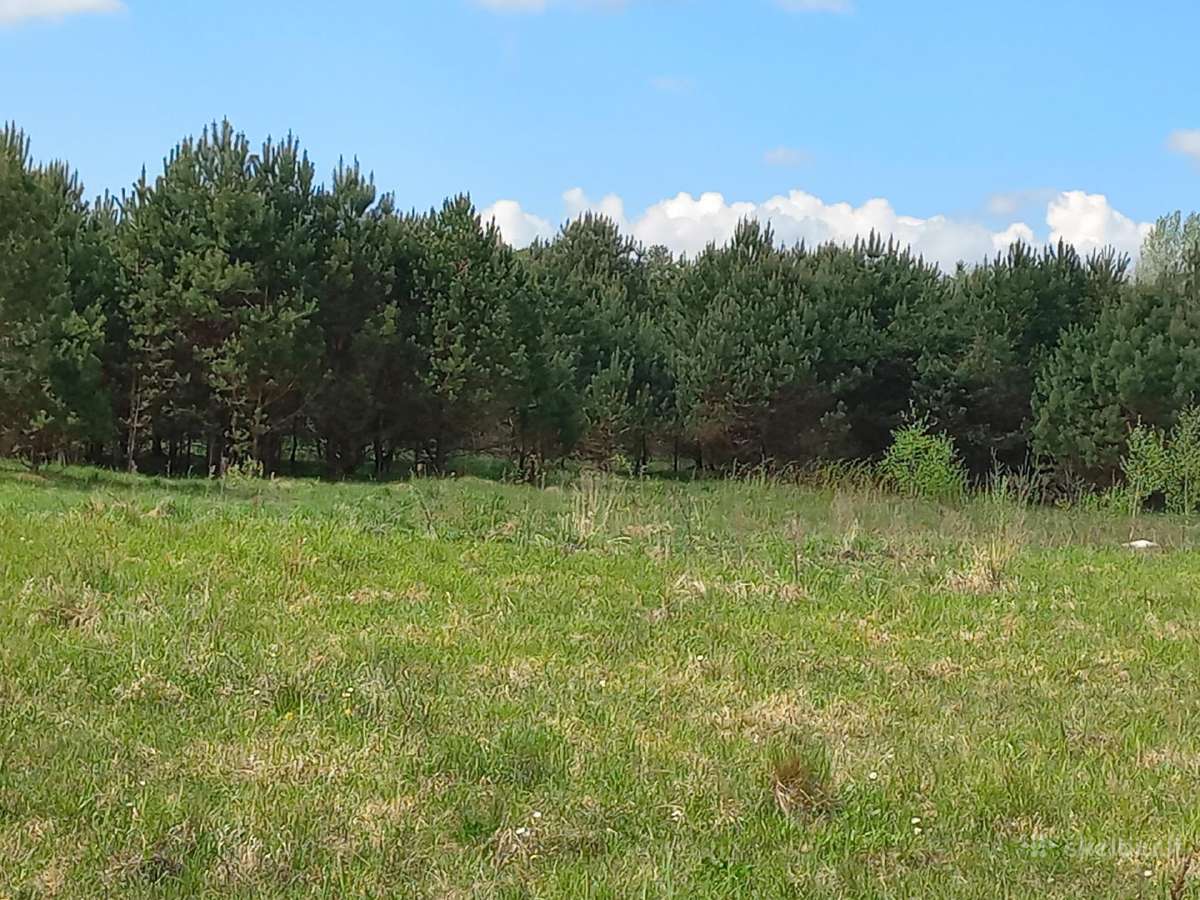 Pušynų apsuptyje, su tvenkiniu