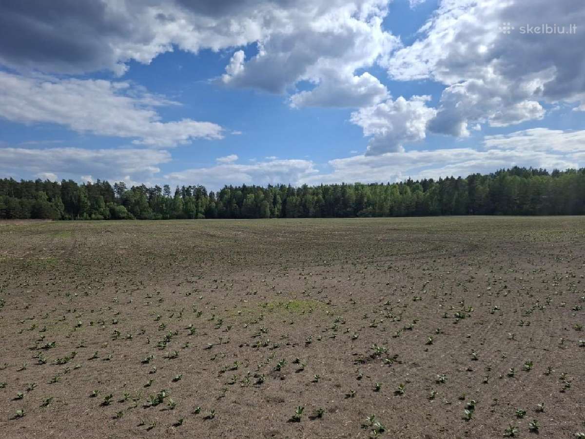 Parduodu žemės sklypą - nuotraukos Nr. 2