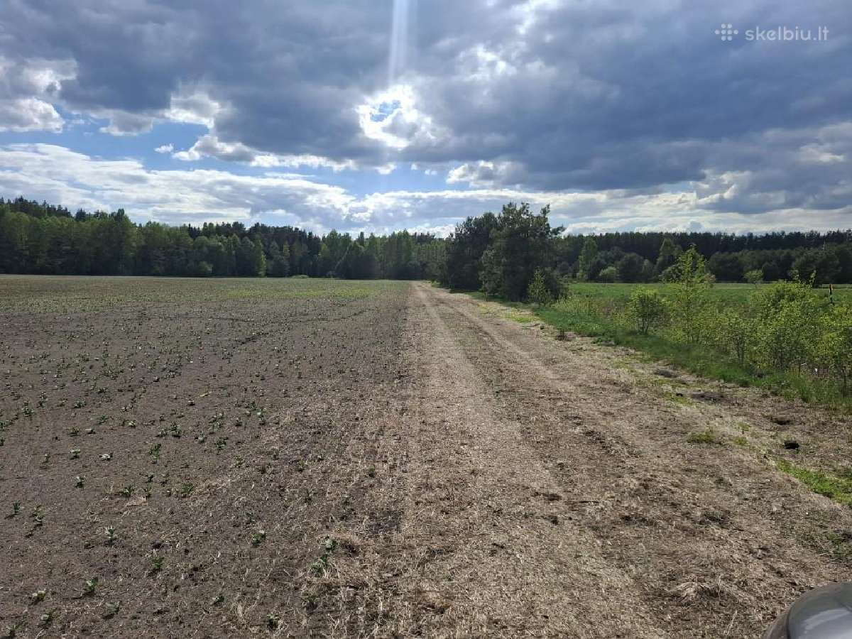 Parduodu žemės sklypą - nuotraukos Nr. 3