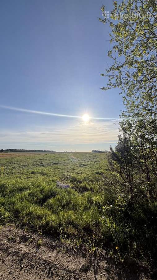 Parduodamas sklypas 0,54 lazdininkai šalia misko - nuotraukos Nr. 4