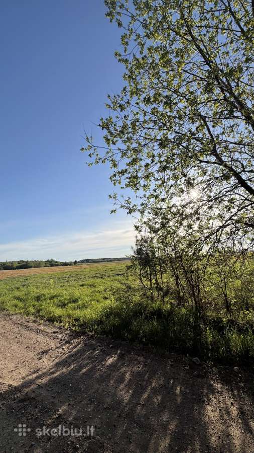 Parduodamas sklypas 0,54 lazdininkai šalia misko - nuotraukos Nr. 5
