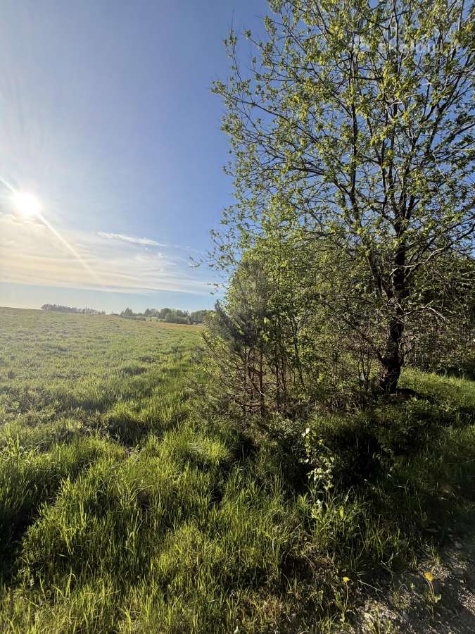 Parduodamas sklypas 0,54 lazdininkai šalia misko - nuotraukos Nr. 2