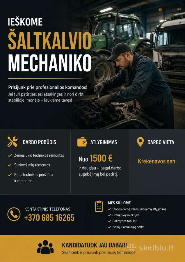 Šaltkalvis - Automechanikas