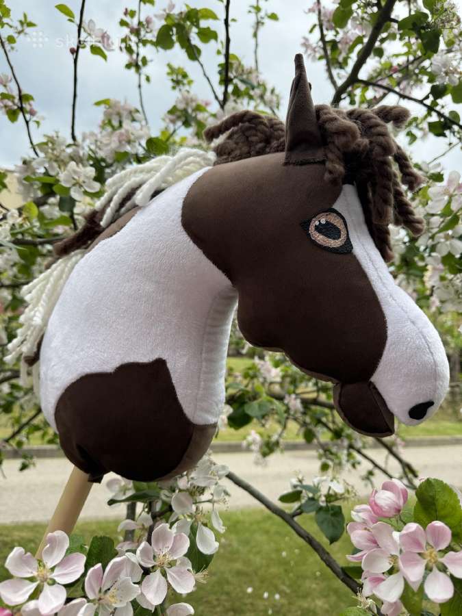 Hobby Horsing Arkliukai - nuotraukos Nr. 2