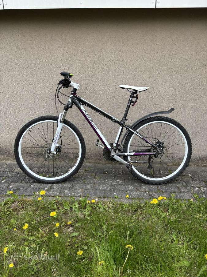 Dviratis Athena Xc3sport