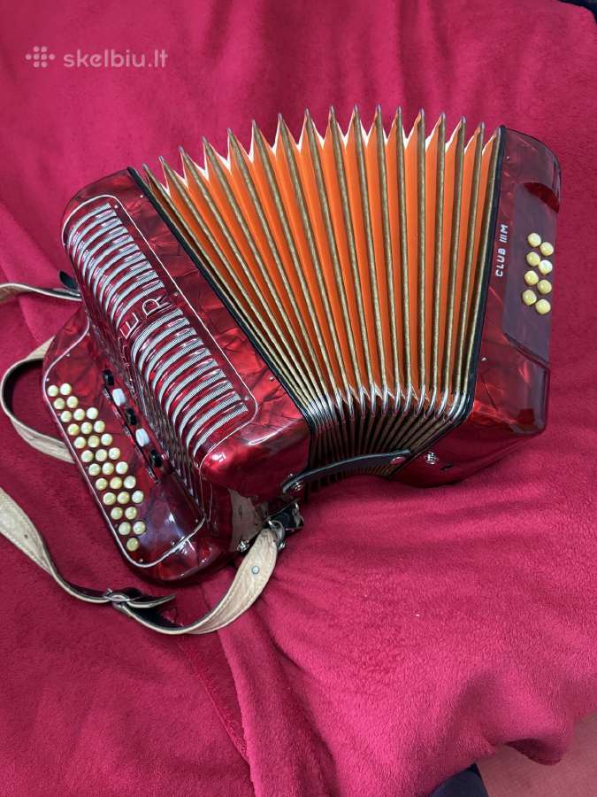 Armonikos - nuotraukos Nr. 20