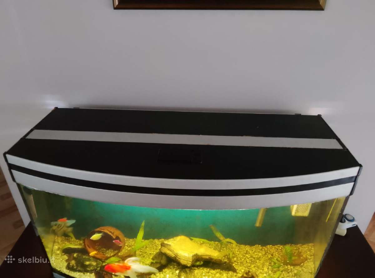 220 l panoraminis akvariumas - nuotraukos Nr. 3