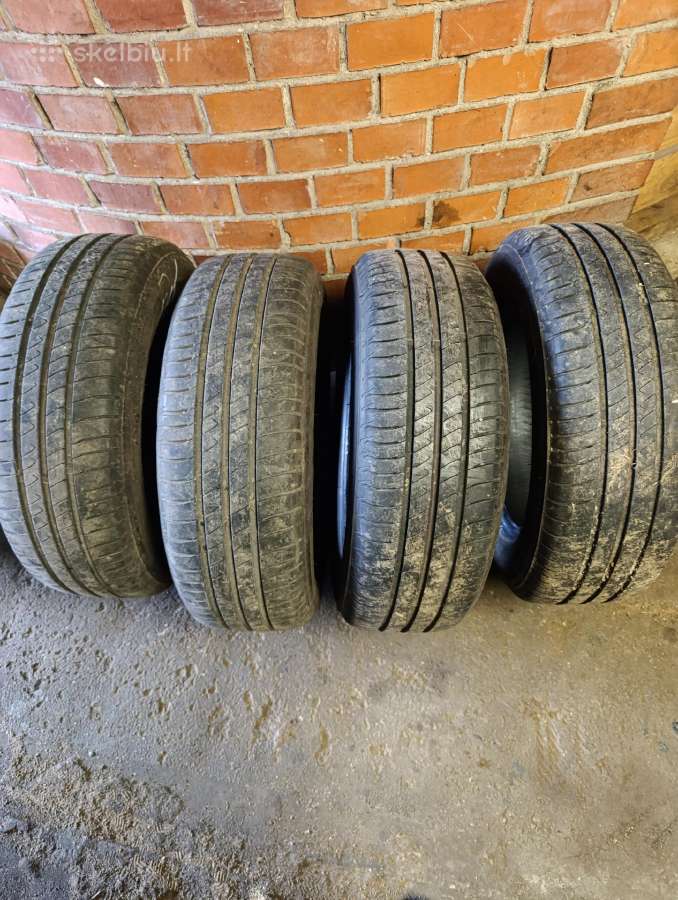Padangos vasarines 195/65r15