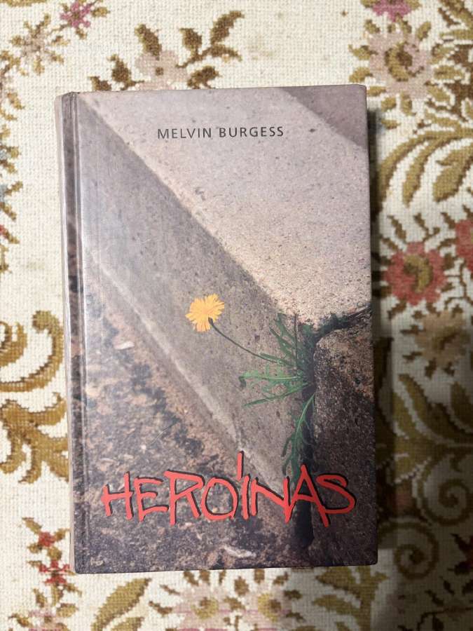 Melvin Burgess - Heroinas