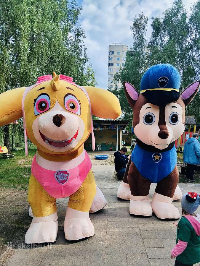 Šunyčiai patruliai personažai vaikų gimtadieniui