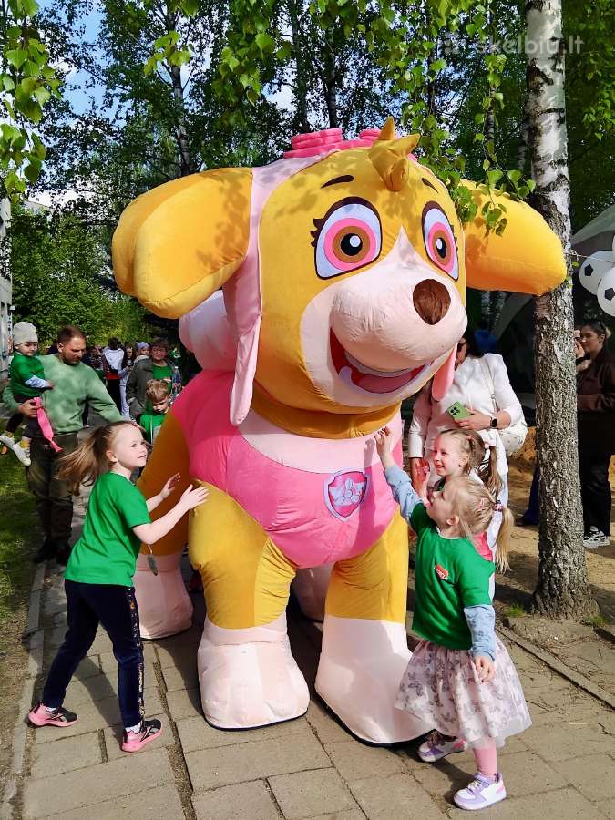 Šunyčiai patruliai personažai vaikų gimtadieniui - nuotraukos Nr. 3
