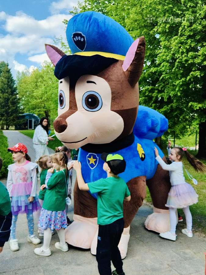 Šunyčiai patruliai personažai vaikų gimtadieniui - nuotraukos Nr. 2