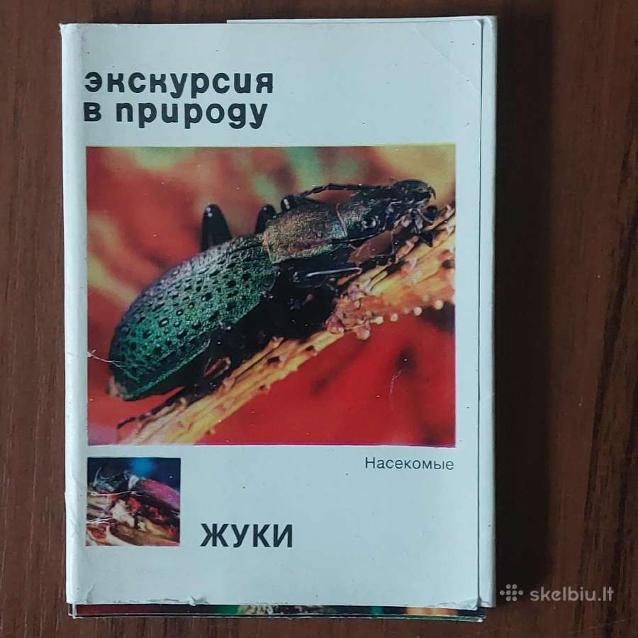 Atvirukų komplektas - Vabalai