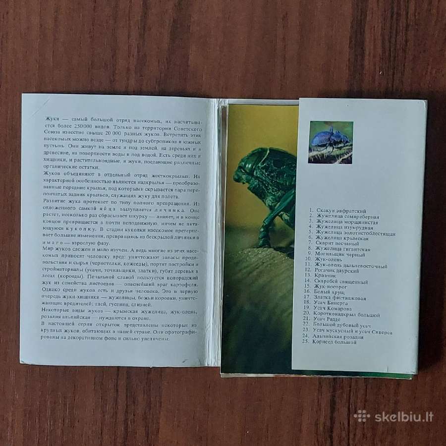 Atvirukų komplektas - Vabalai - nuotraukos Nr. 3