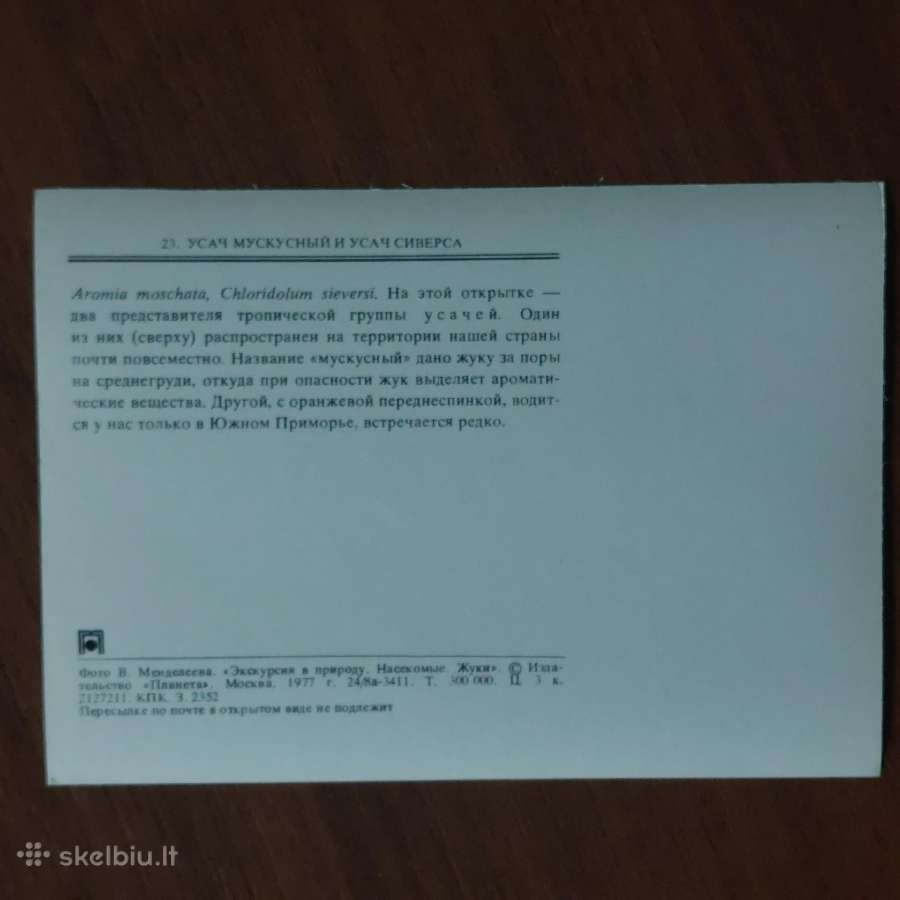 Atvirukų komplektas - Vabalai - nuotraukos Nr. 23